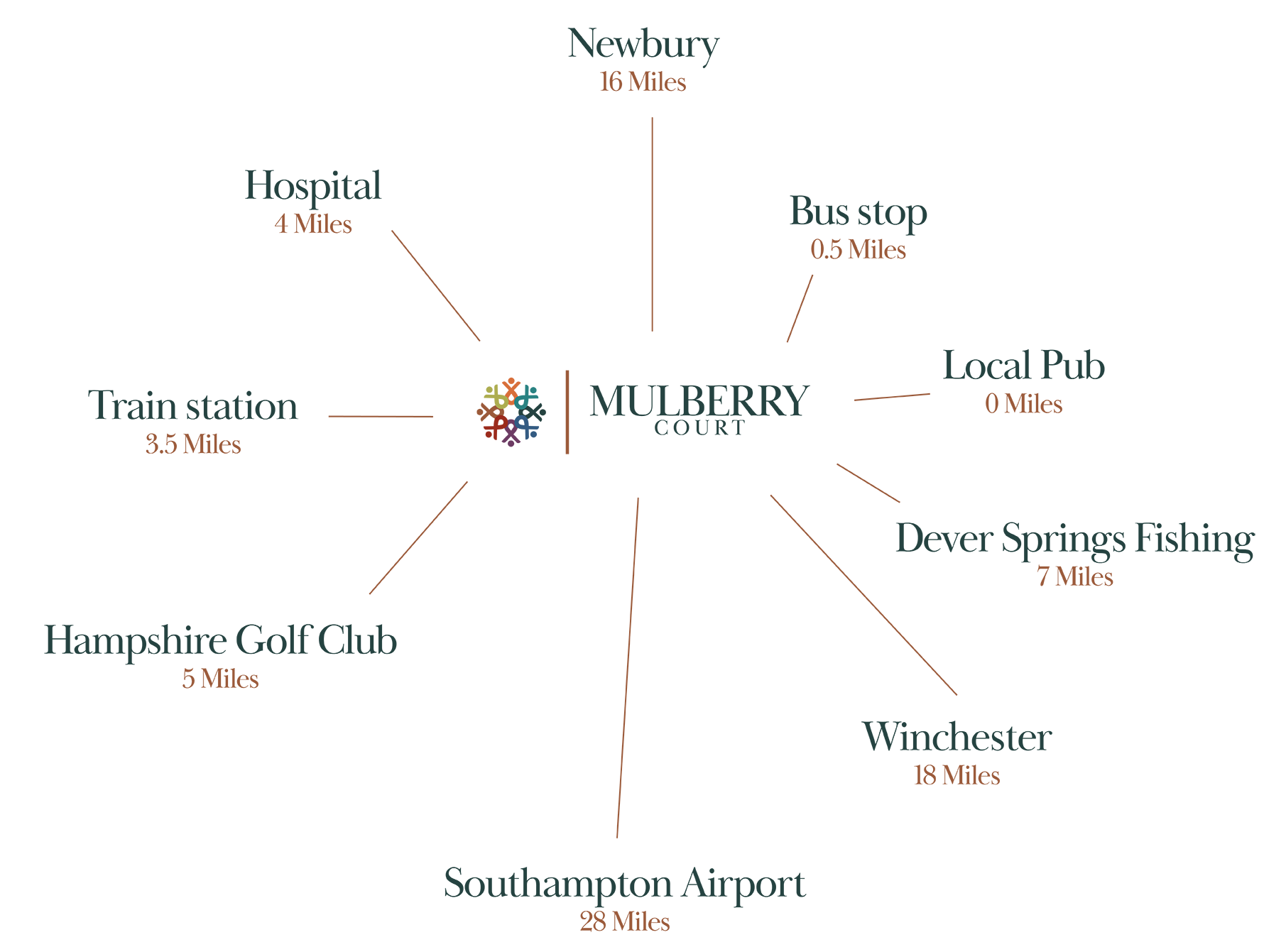 MC_Spider-Graph03-web